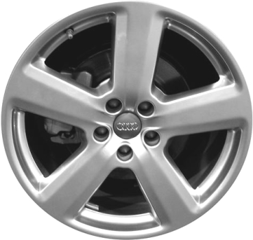 Audi A8 2006-2010 powder coat hyper silver 19x9 aluminum wheels or rims. Hollander part number ALY58795, OEM part number 4E601025AD1H7.