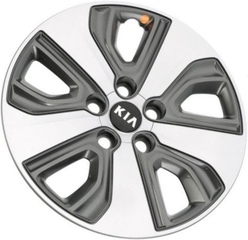 alloy wheel cover